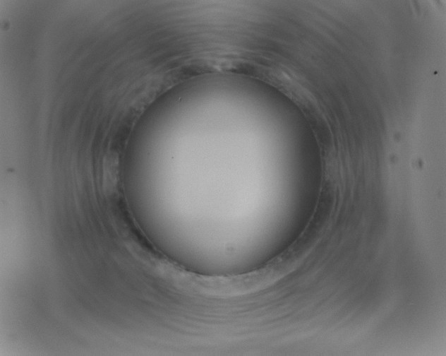 X0000076220030200610122101