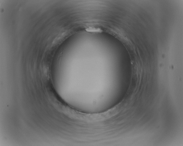 X0000076220031200610122101