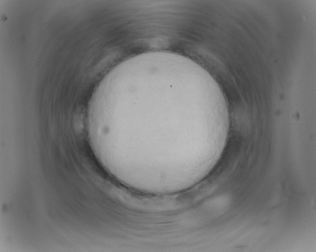 X0000076220032200610122101