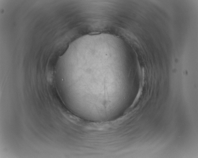 X0000076220033200610122101