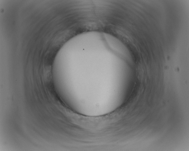 X0000076220034200610122101