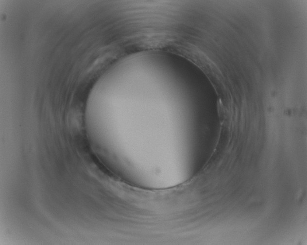 X0000076220035200610122101