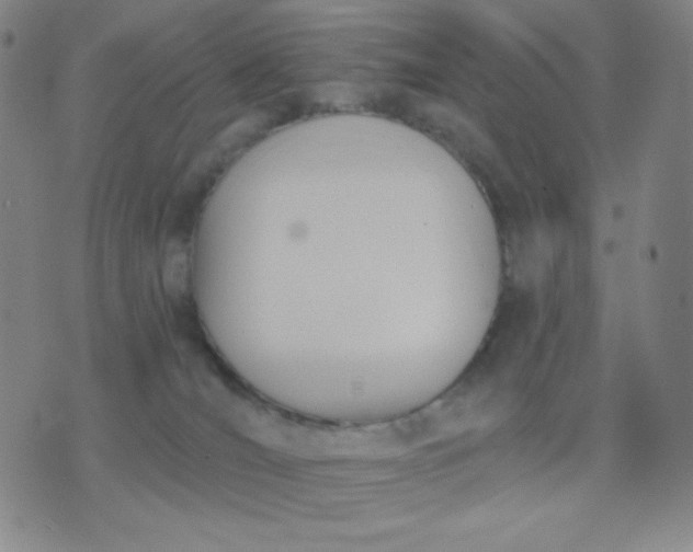 X0000076220036200610122101