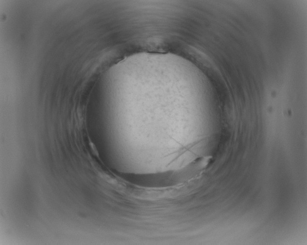 X0000076220037200610122101