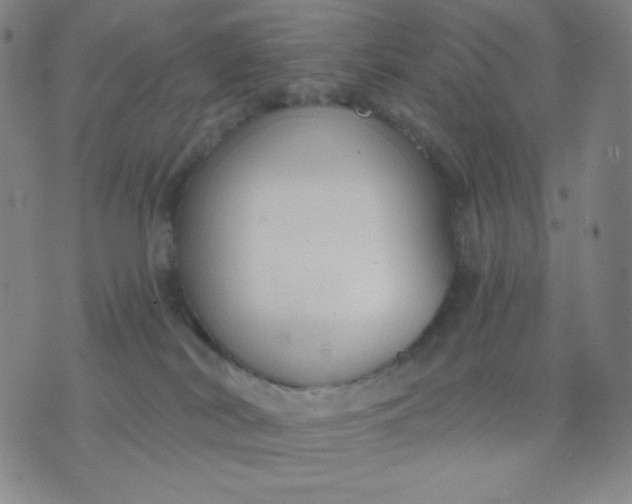 X0000076220038200610122101