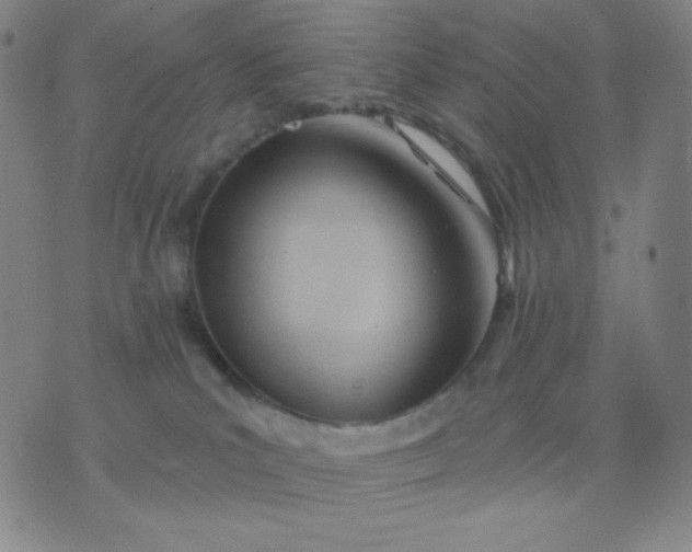 X0000076220039200610122101