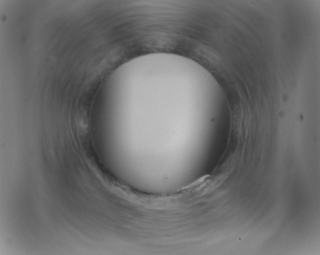 X0000076220040200610122101