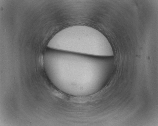 X0000076220041200610122101