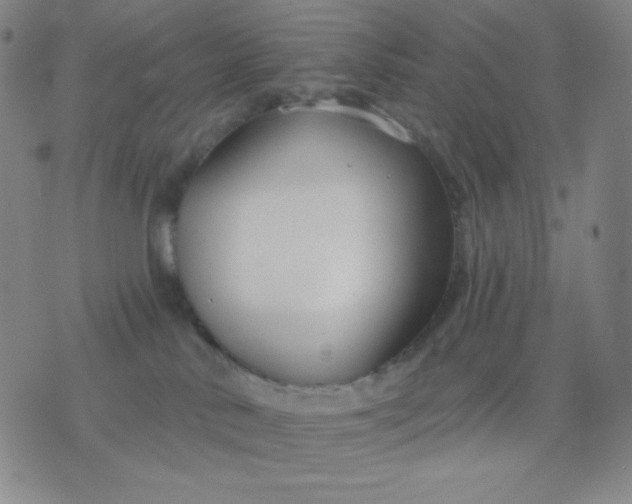 X0000076220042200610122101