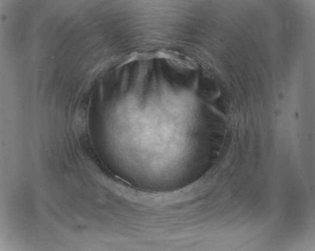 X0000076220043200610122101