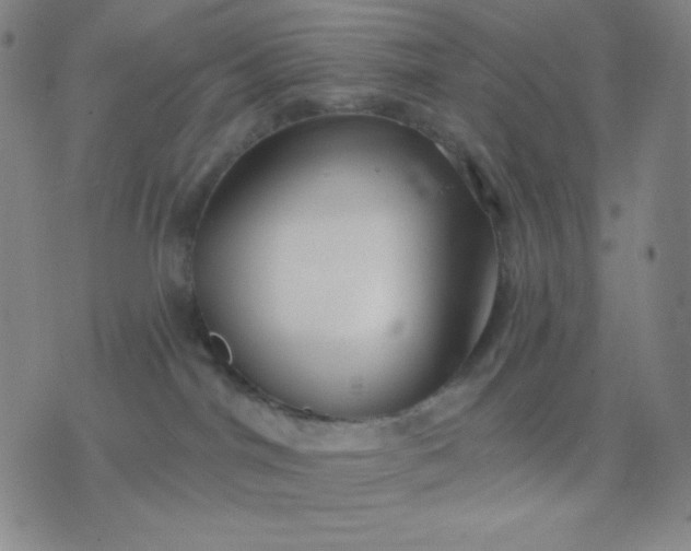 X0000076220044200610122101