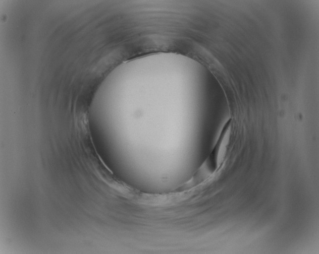 X0000076220045200610122101