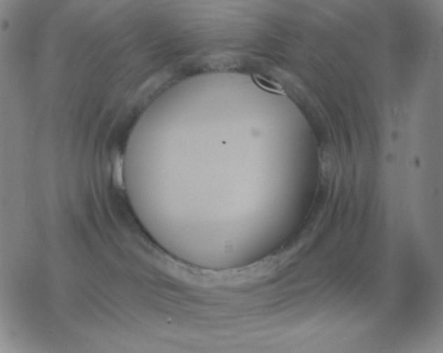 X0000076220046200610122101