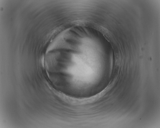 X0000076220047200610122101