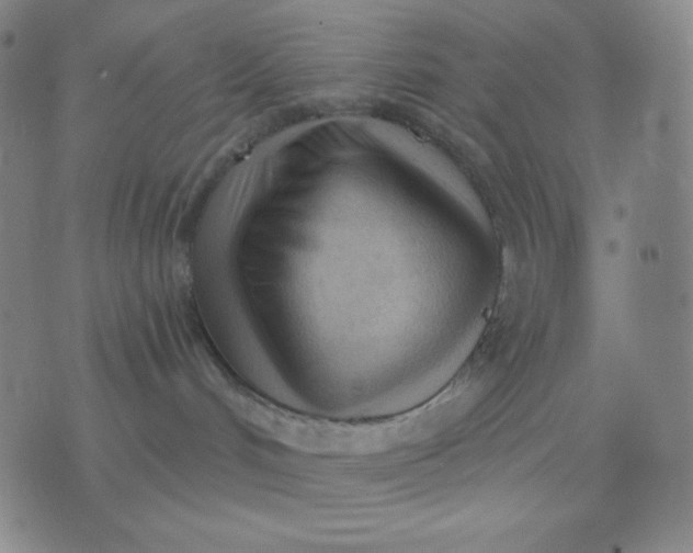 X0000076220048200610122101