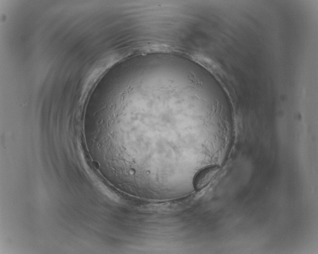 X0000076220049200610122100