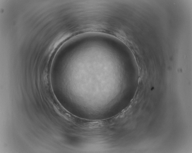 X0000076220050200610122100