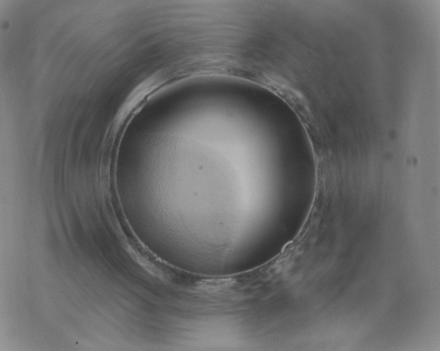 X0000076220051200610122100