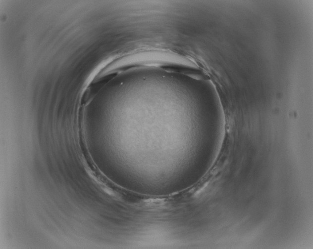 X0000076220052200610122100