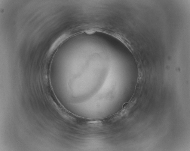 X0000076220053200610122100