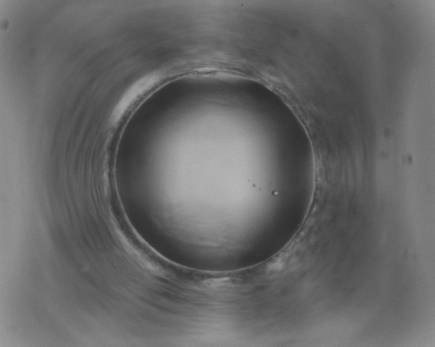 X0000076220054200610122100