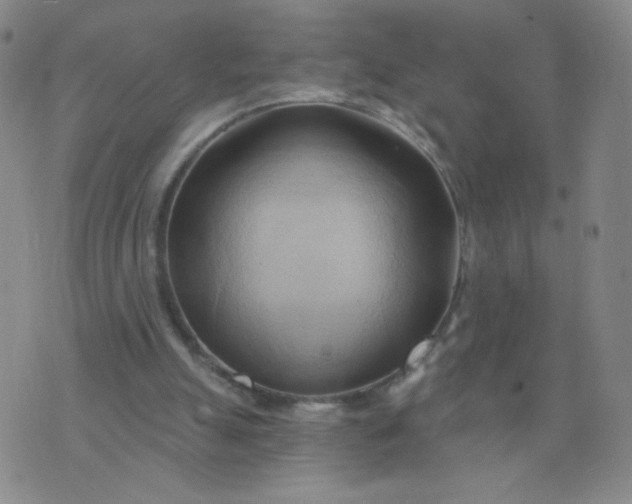 X0000076220055200610122100