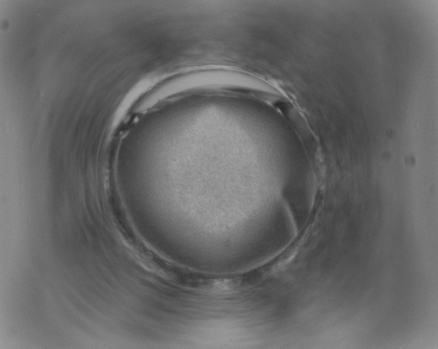 X0000076220056200610122100