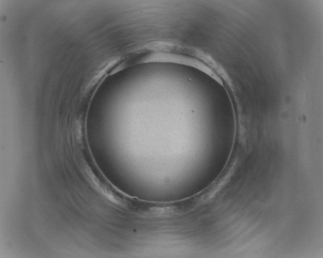 X0000076220057200610122100