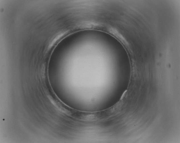 X0000076220058200610122100