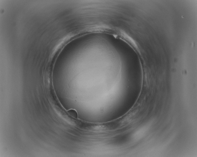 X0000076220059200610122100