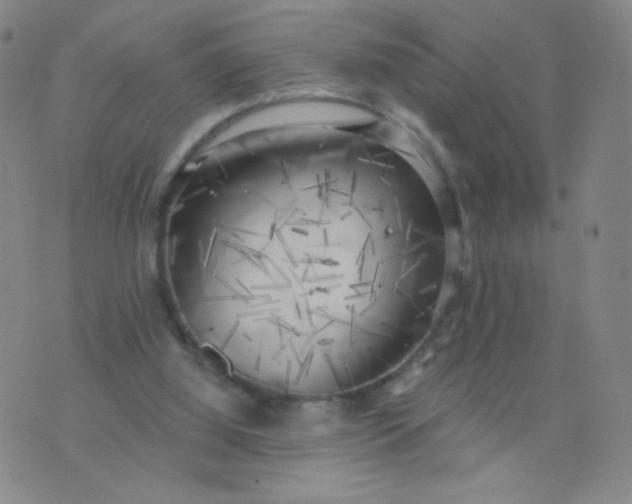 X0000076220060200610122100