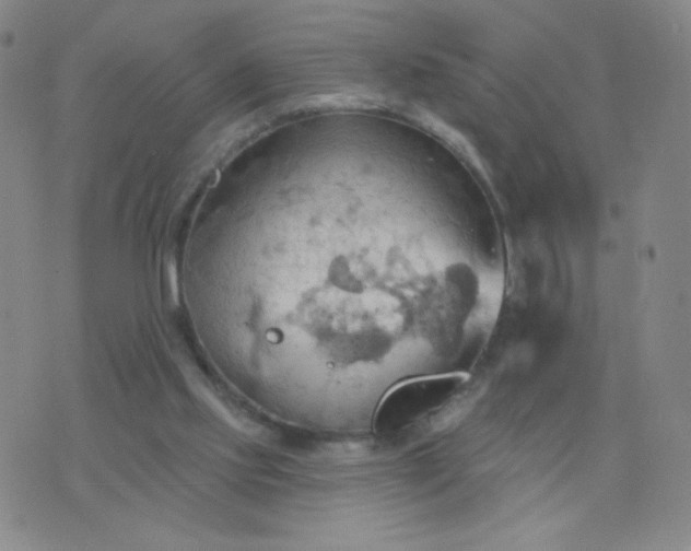 X0000076220061200610122100