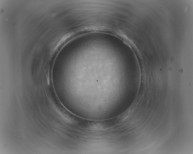 X0000076220062200610122100