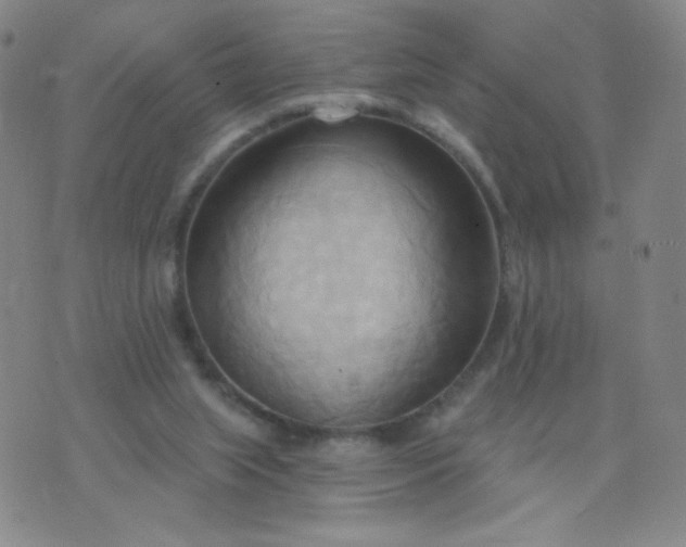 X0000076220063200610122100