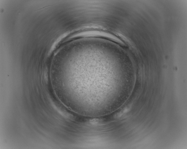 X0000076220064200610122100