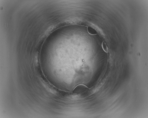 X0000076220065200610122100