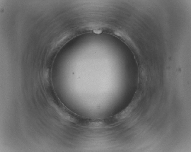 X0000076220066200610122100