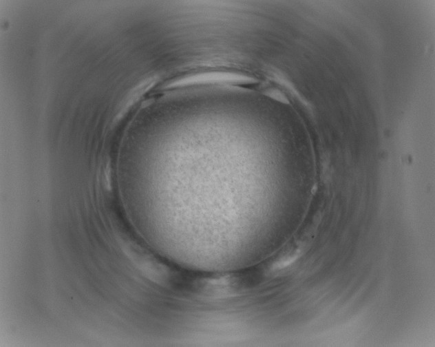 X0000076220068200610122100