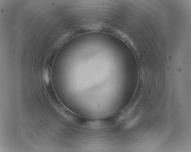 X0000076220069200610122100