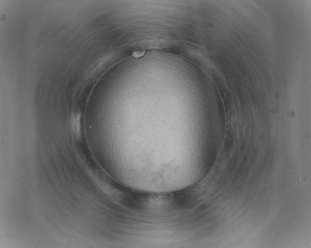 X0000076220070200610122100