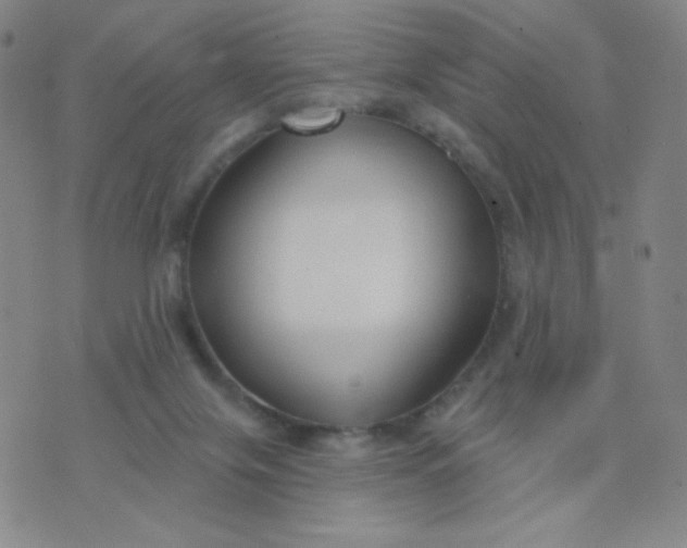 X0000076220071200610122100