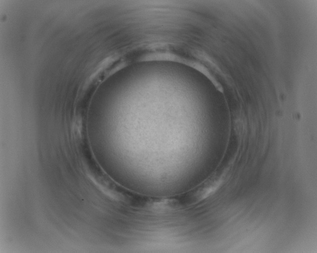 X0000076220072200610122100