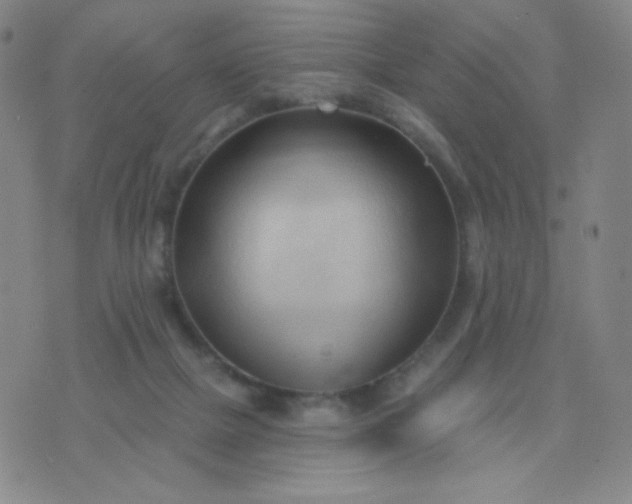 X0000076220073200610122100