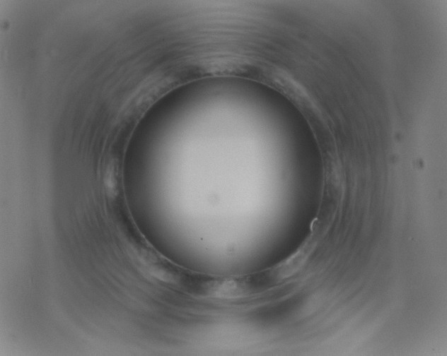 X0000076220074200610122100