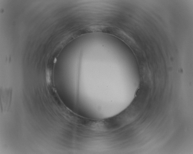 X0000076220075200610122100