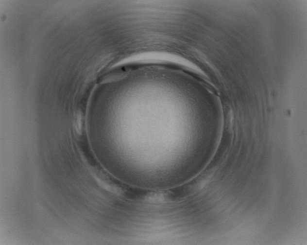 X0000076220076200610122100