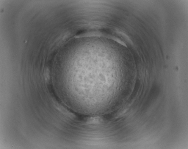 X0000076220077200610122100