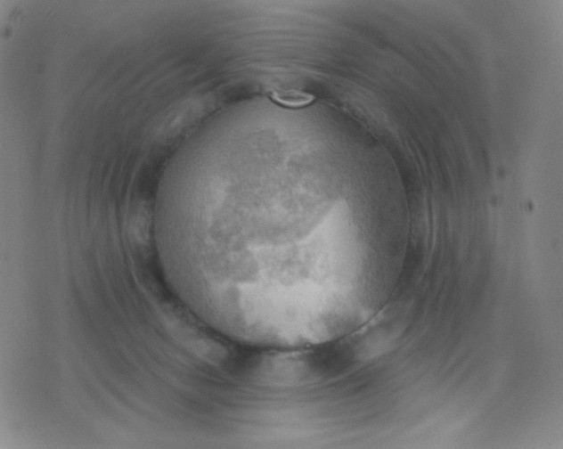 X0000076220078200610122100