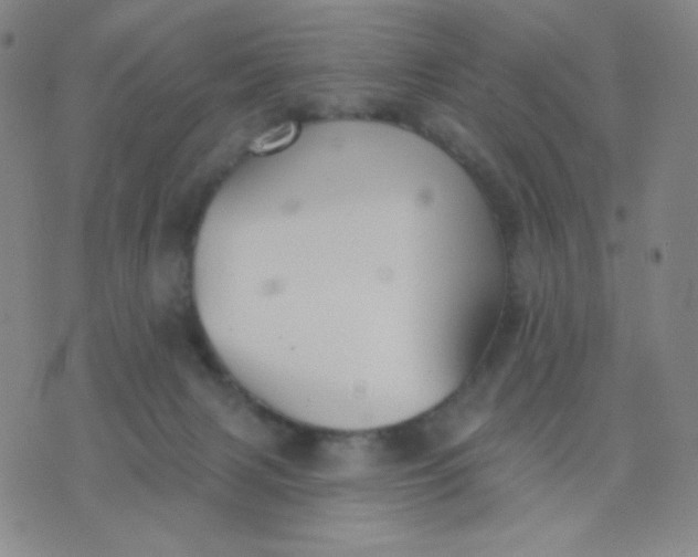 X0000076220079200610122100