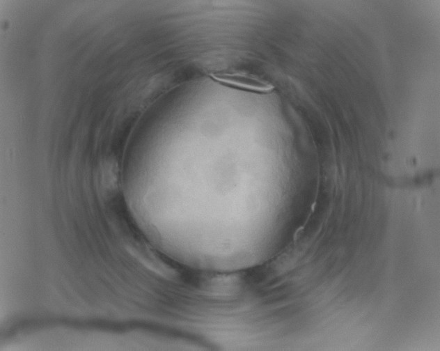 X0000076220081200610122100